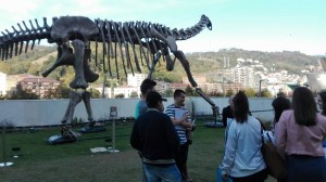 IMG-20161102-WA0016