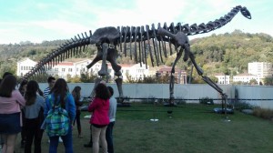 IMG-20161102-WA0018