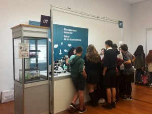 IMG-20161102-WA0021