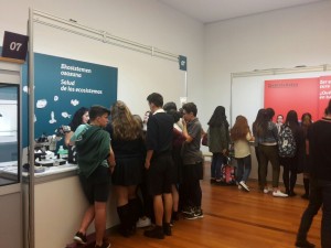 IMG-20161102-WA0022