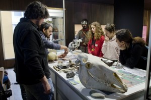 Gasteiz 021