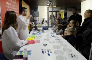 Gasteiz 022